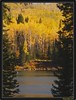 Candace > Colorful Colorado 2005 photo