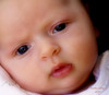 Candace > Libby
4 weeks of age