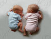 Candace > Hudson & Hailey 
6 weeks of age
