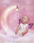 Infant Portfolio : 