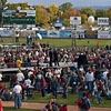 Candace > Governor Sarah Palin in Colorado 10/20/08 >  WFSarah Palin_8043ORF conversion-
