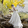 Wedding Portfolio : 